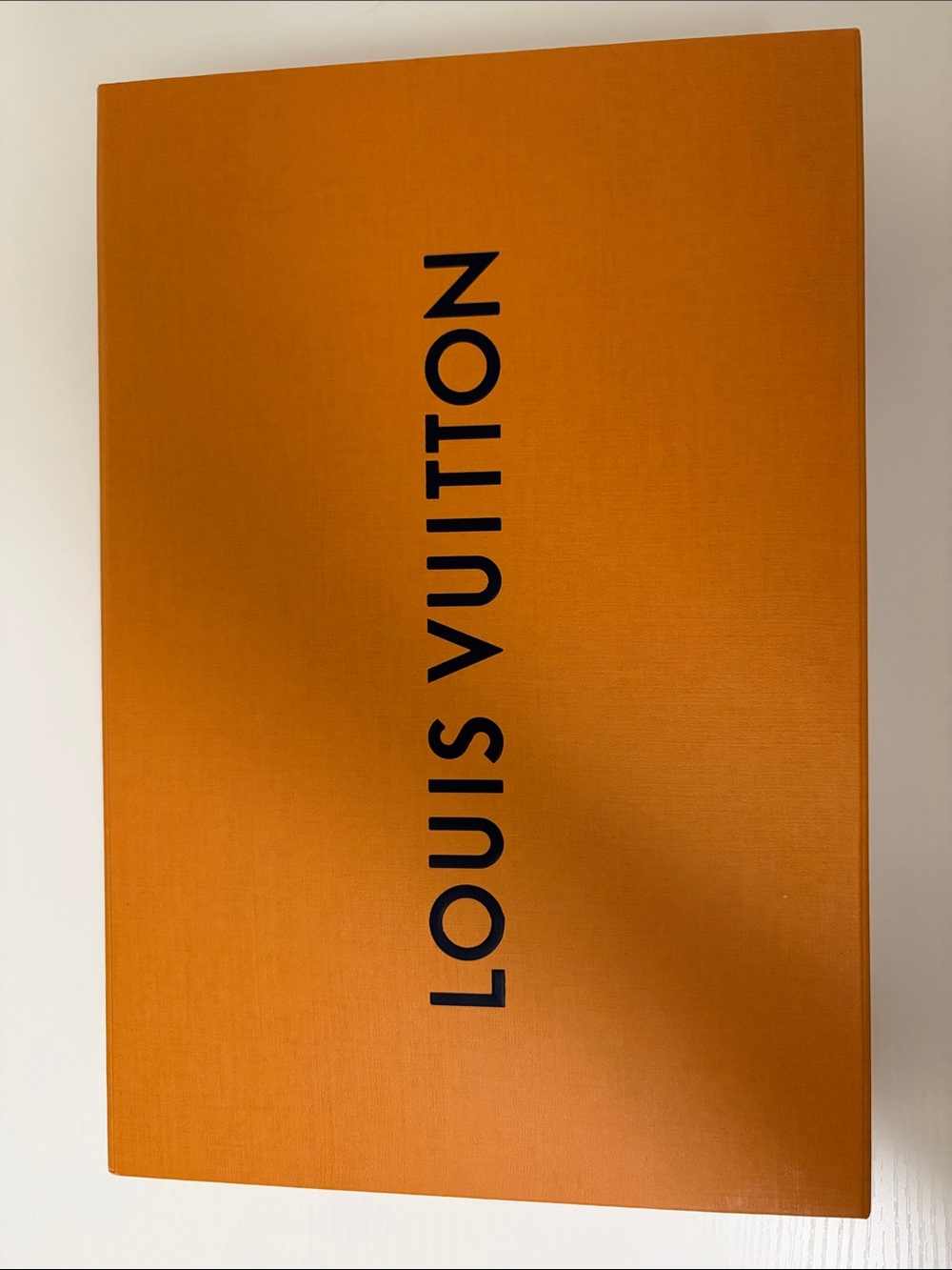 Louis Vuitton storage box